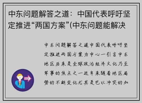 中东问题解答之道：中国代表呼吁坚定推进“两国方案”(中东问题能解决吗)