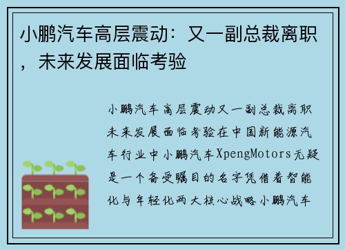 小鹏汽车高层震动：又一副总裁离职，未来发展面临考验