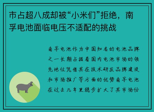 市占超八成却被“小米们”拒绝，南孚电池面临电压不适配的挑战