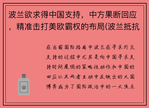 波兰欲求得中国支持，中方果断回应，精准击打美欧霸权的布局(波兰抵抗)